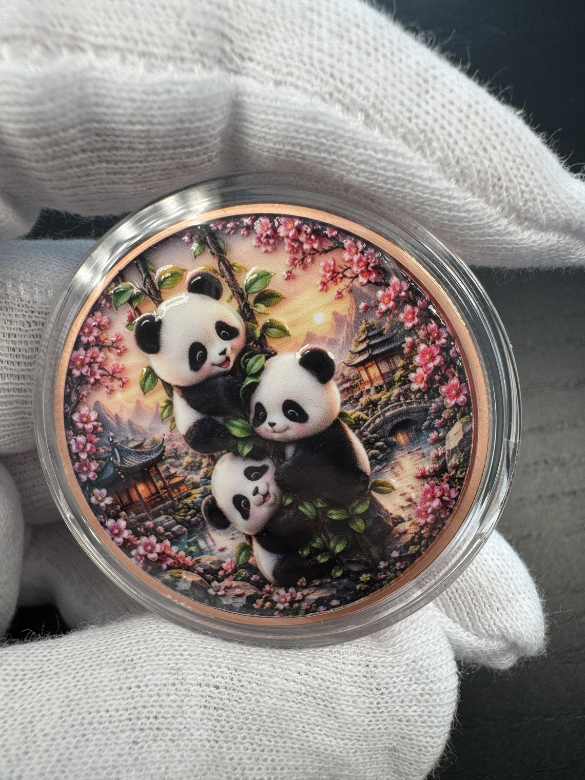 Panda #6 – 1 oz Kupfermedaille | 999 Feinkupfer · High Relief